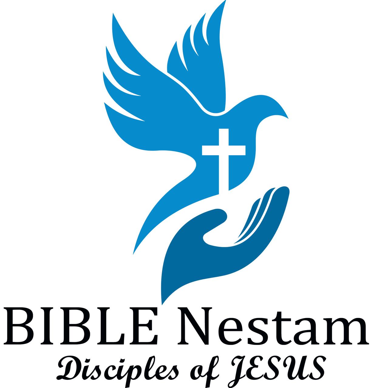 whatsapp image 2025 12 04 at 11.49.28 pm